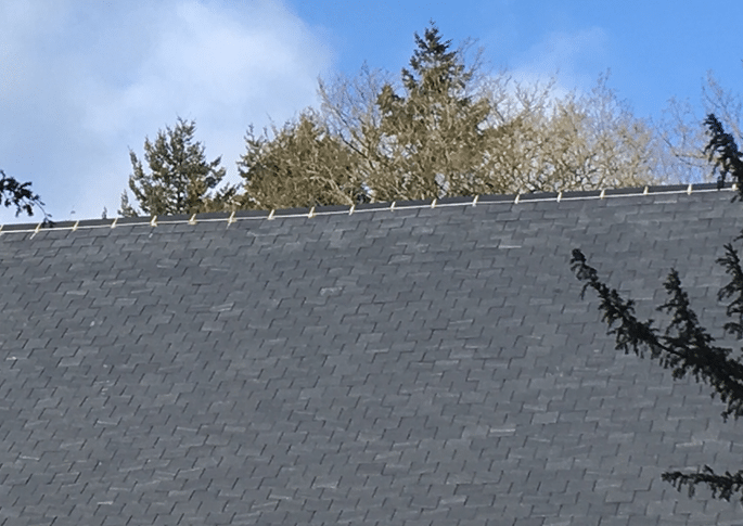 Flat roofing service