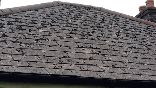 Picture of a roof that has asbestos tiles on it. These tiles have small amounts of moss. The asbestos tile is grey and showing signs of damage.